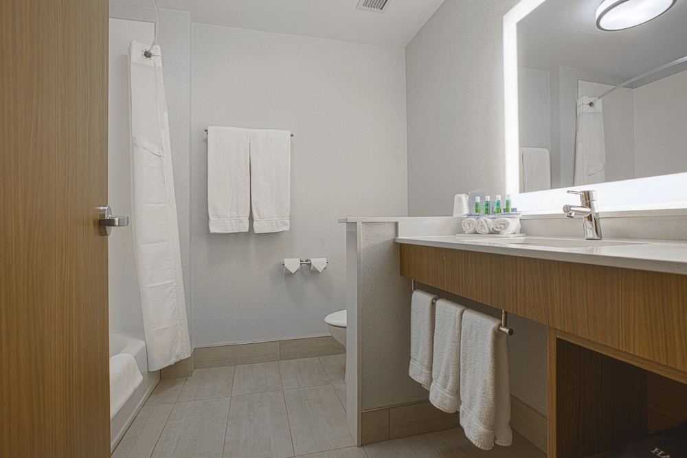 Holiday Inn Express & Suites Boise Airport by IHG - photo 11