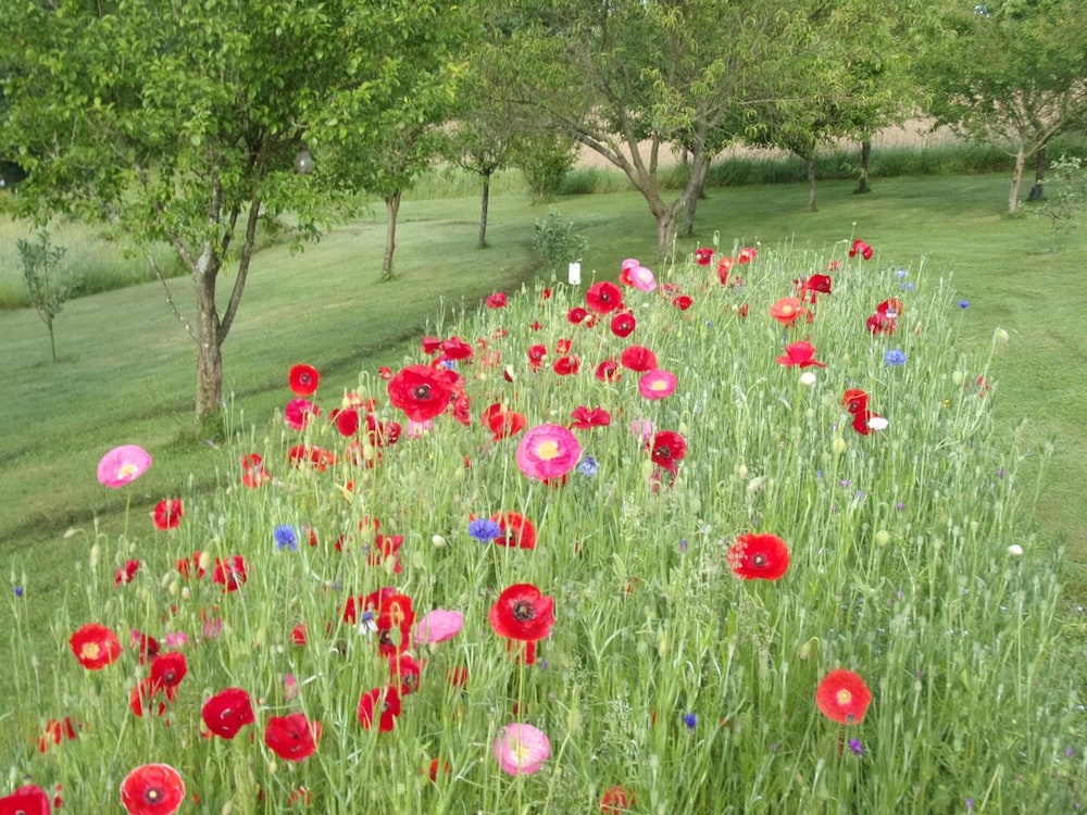 REDROOF country house hotel - carbon neutral hotel in Goris