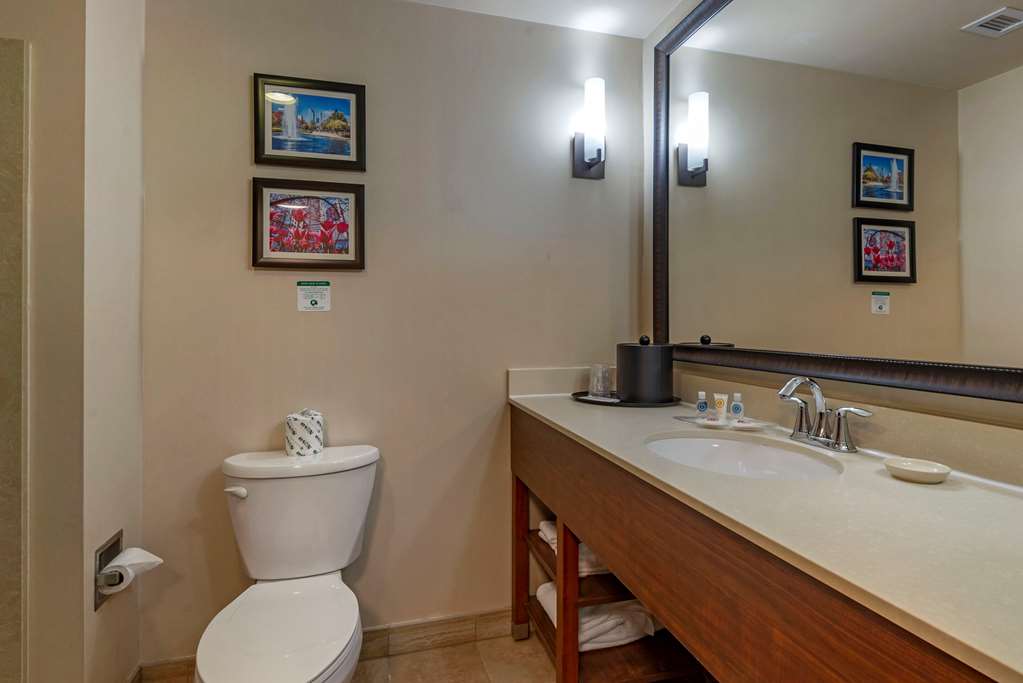 Comfort Suites Huntersville near Lake Norman - photo 6