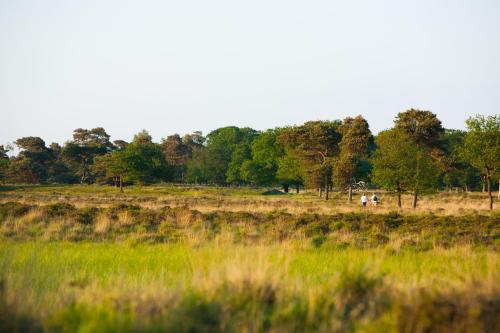 Molecaten Park Landgoed Ginkelduin — Leersum