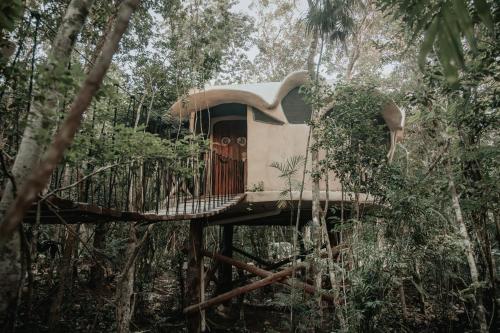 Ikalar - carbon neutral hotel in Akumal