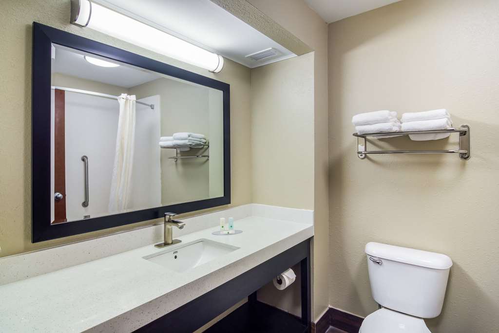 Quality Inn & Suites Canton GA - photo 15