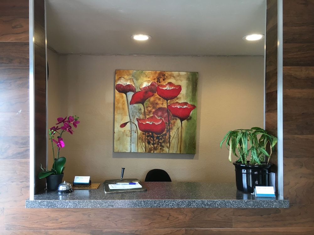 Del Amo Inn - photo 4