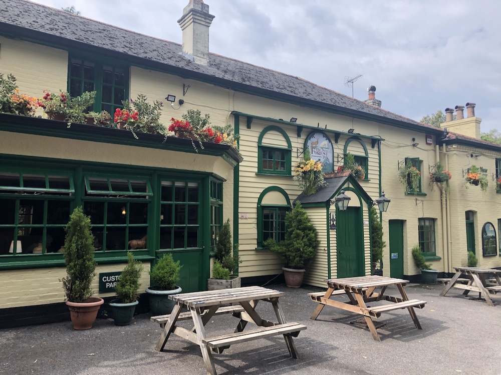 The New Forest Inn - carbon neutral hotel in Lyndhurst