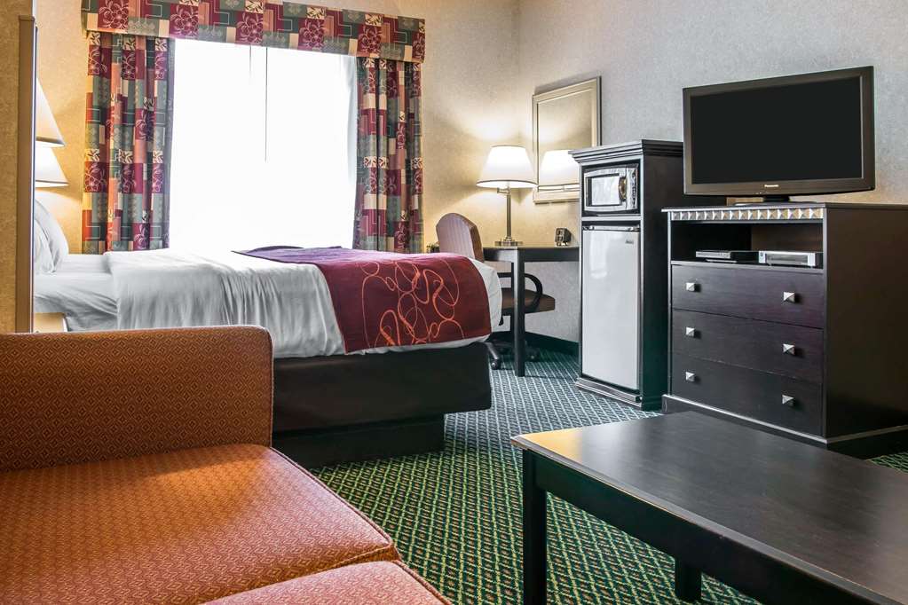 Comfort Suites Canton Detroit - photo 12