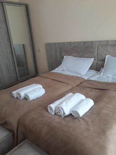 Hotel Ramaz Paliani
