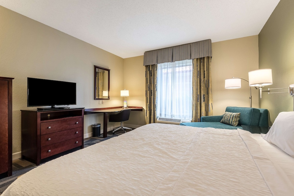 Hampton Inn & Suites Orlando South Lake Buena Vista - photo 10