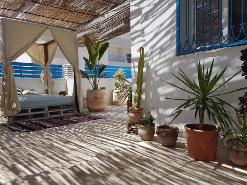 Dar Doudi — 4-Star Luxury Hotel in Sousse, Tunisia