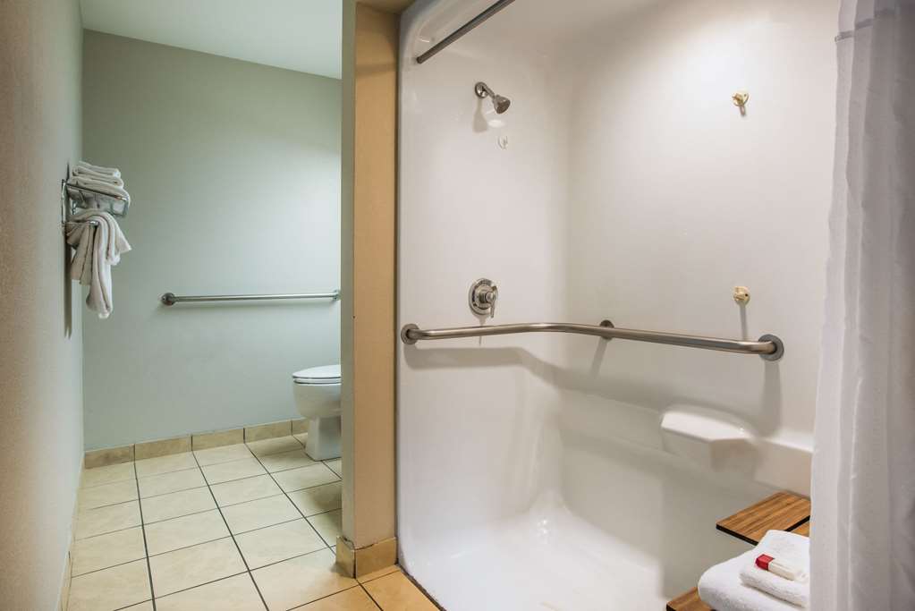 Microtel Inn & Suites by Wyndham Chattanooga Near Hamilton P - photo 5