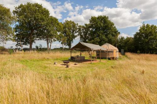 Ash Yurt — Edenbridge — photo 5