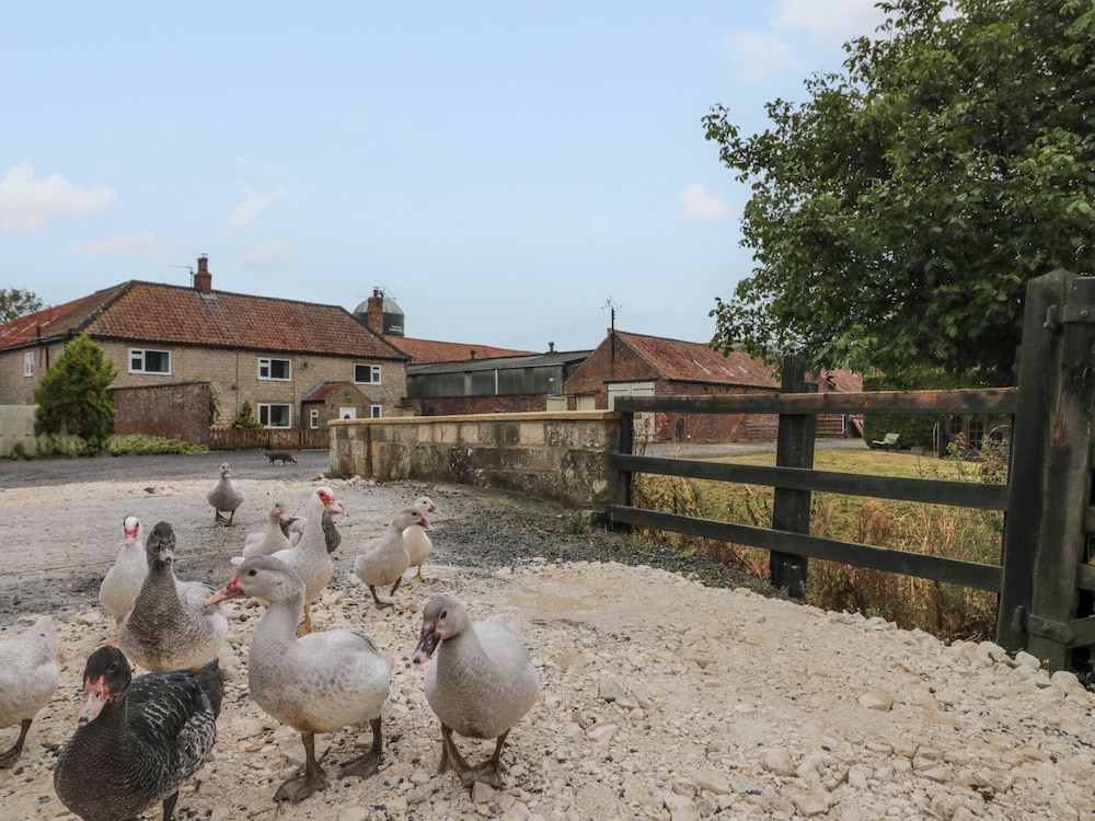 Bellmanear Farm Cottage — 4-Star Luxury Hotel in Malton, United Kingdom