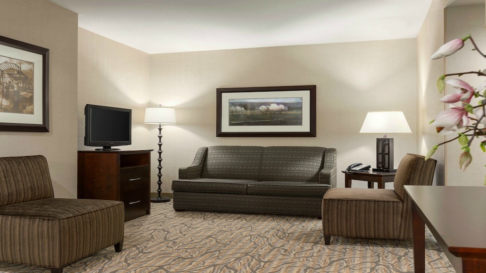 Holiday Inn Hotel & Suites Williamsburg Historic Gateway by IHG - photo 3