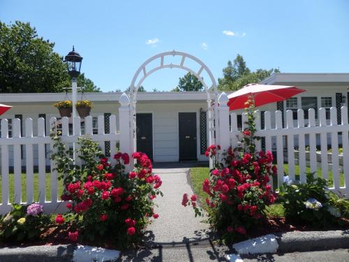 Claddagh Motel & Suites - photo 59