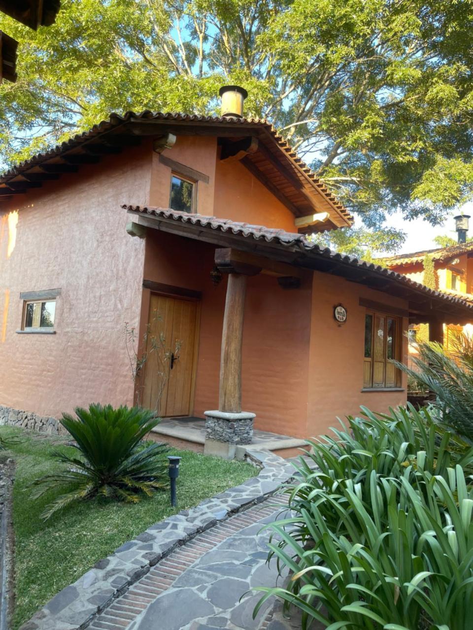 Wisteria in Mazamitla, Mexico