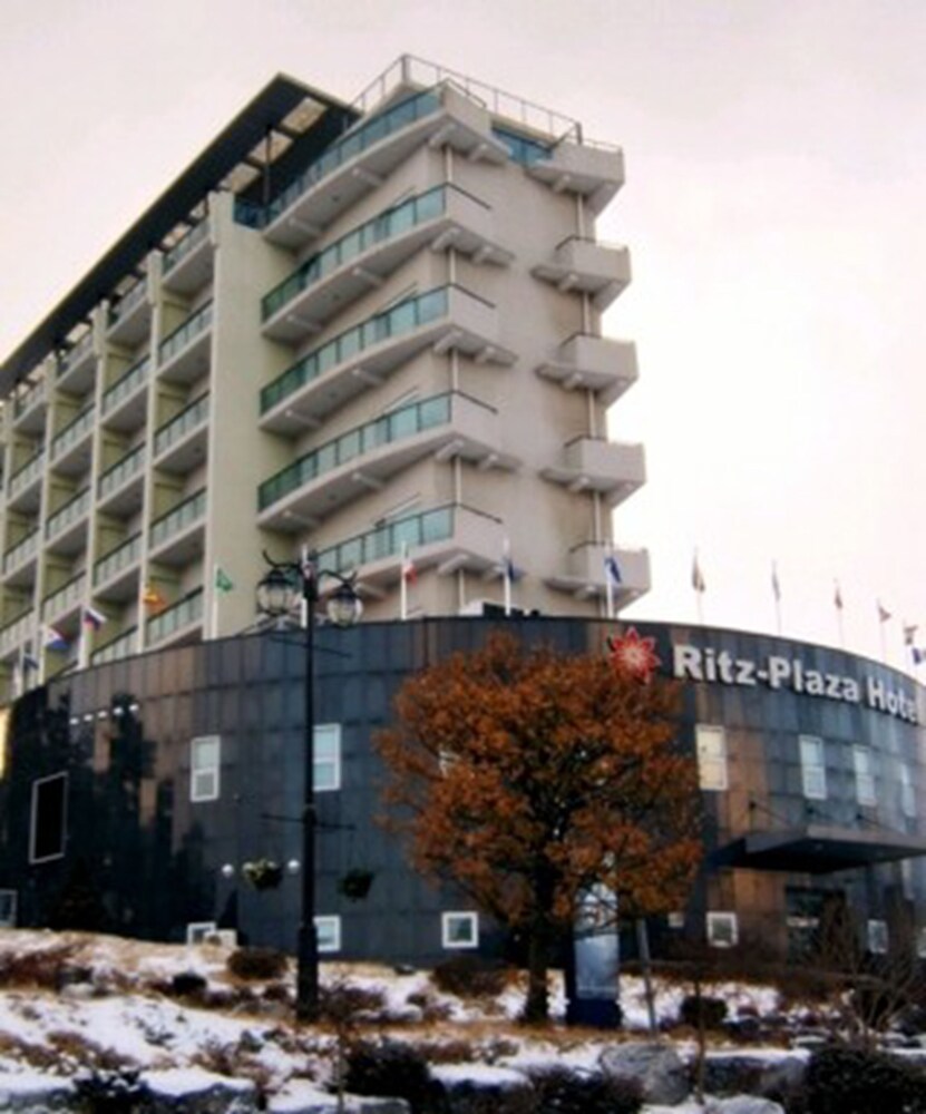 The Ritz Plaza Hotel — hotel in Gunsan