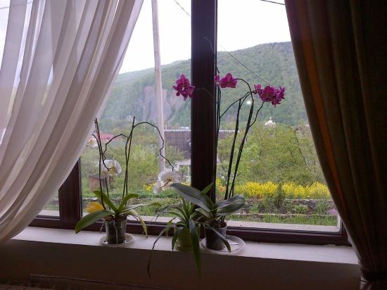 Panorama — Yaremche — photo 4