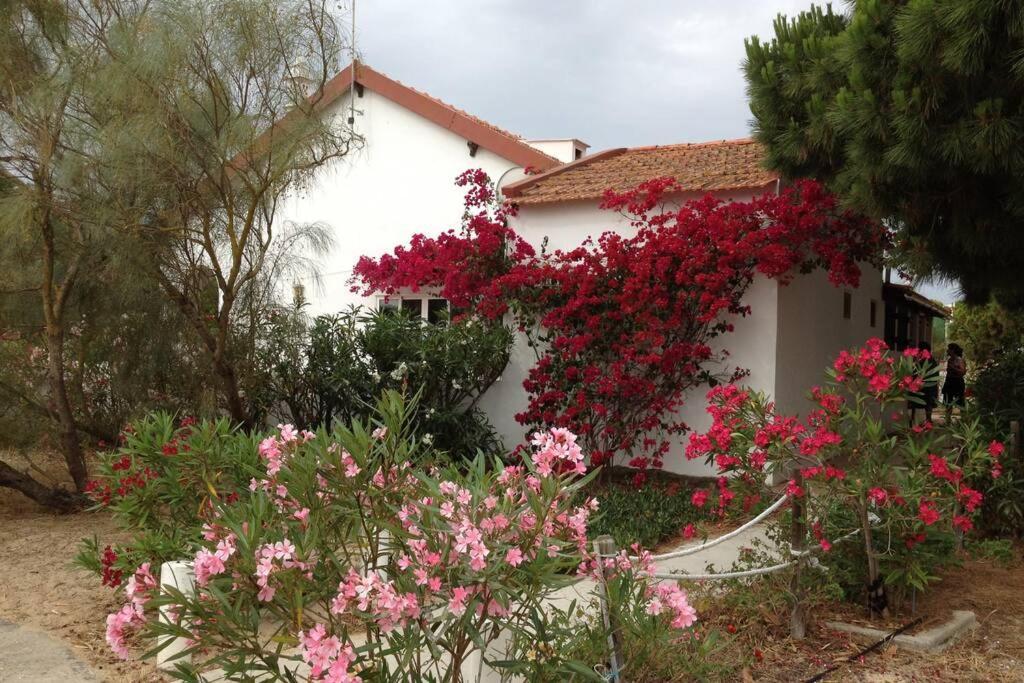 Beach House Tavira Island — 4-Star Luxury Hotel in Tavira, Portugal