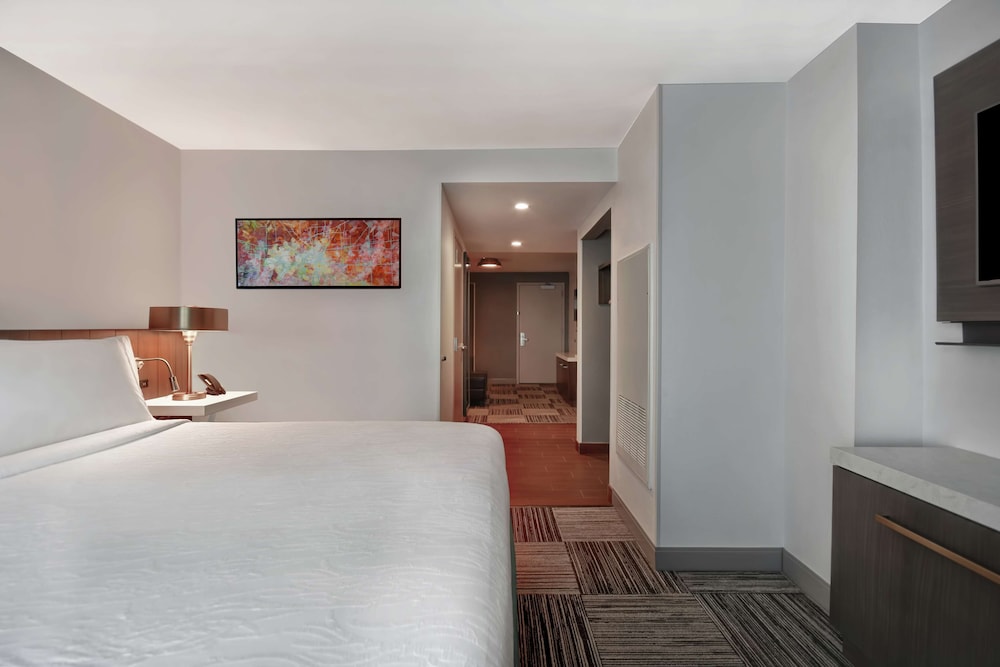 Hilton Garden Inn Houston Galleria Area - photo 15