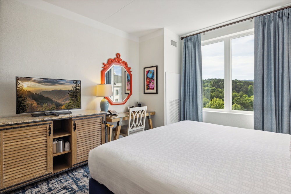 Dollywood's DreamMore Resort - photo 16