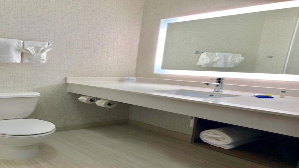 Holiday Inn Express Hotel & Suites Mount Pleasant by IHG - photo 25