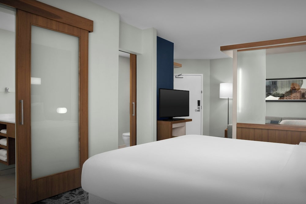 SpringHill Suites Savannah Downtown Historic District - photo 6