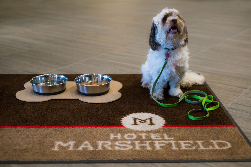 Hotel Marshfield BW Premier Collection - photo 3