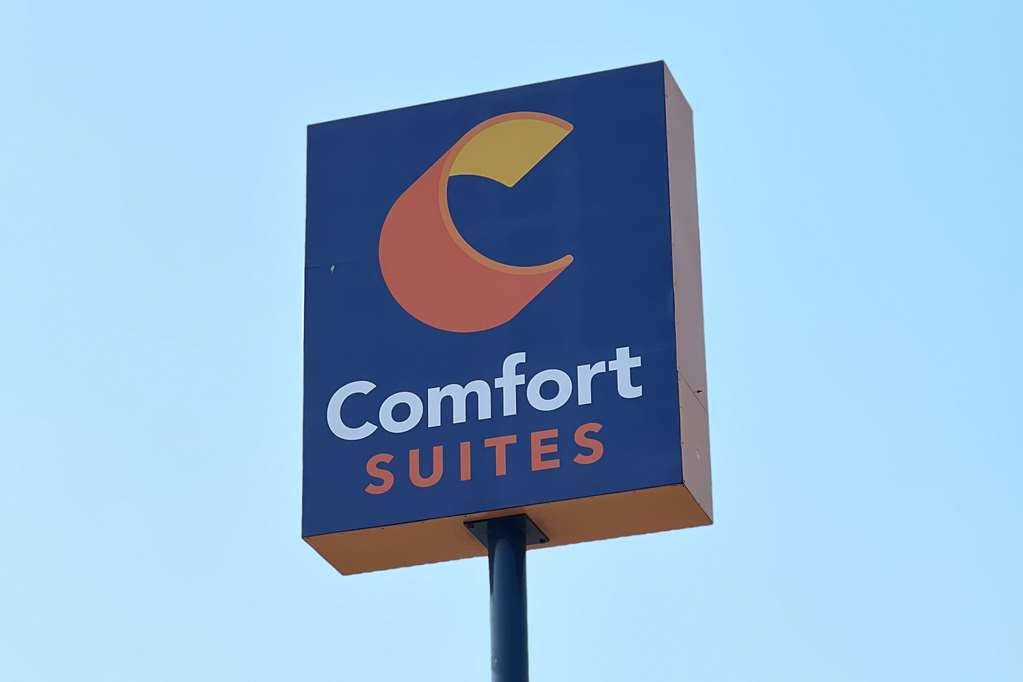 Comfort Suites Seaford - photo 3
