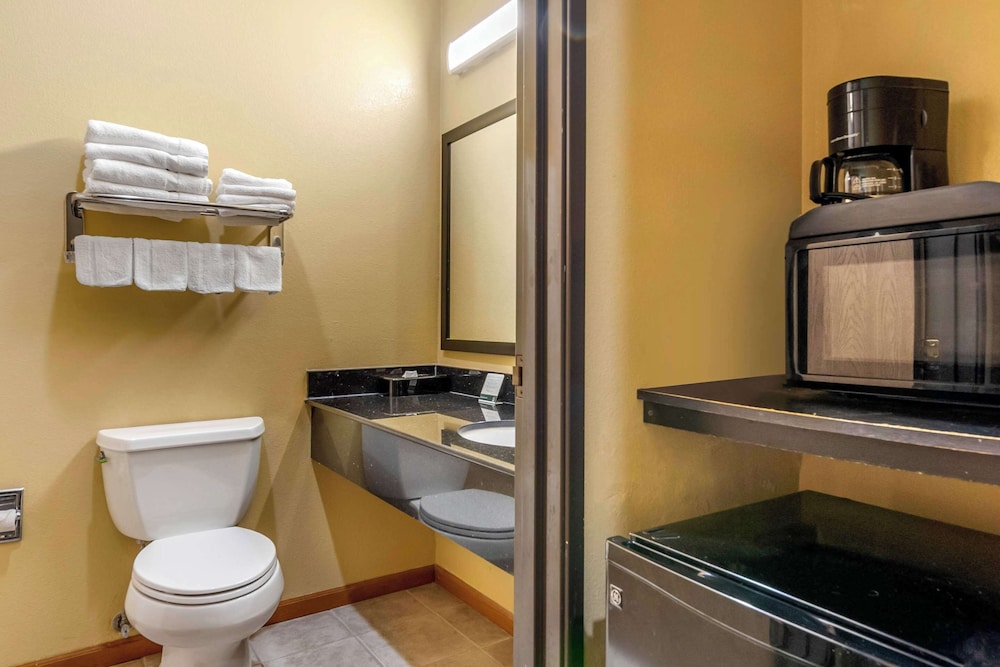 Quality Inn & Suites Lenexa Kansas City - photo 22