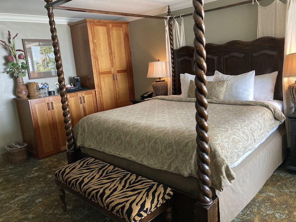 Blue Dolphin Inn - photo 21