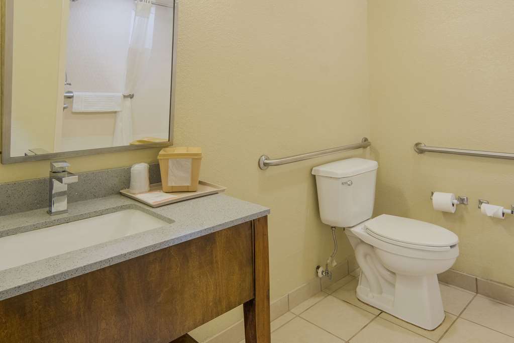 Quality Inn & Suites Roanoke Fort Worth North - photo 19