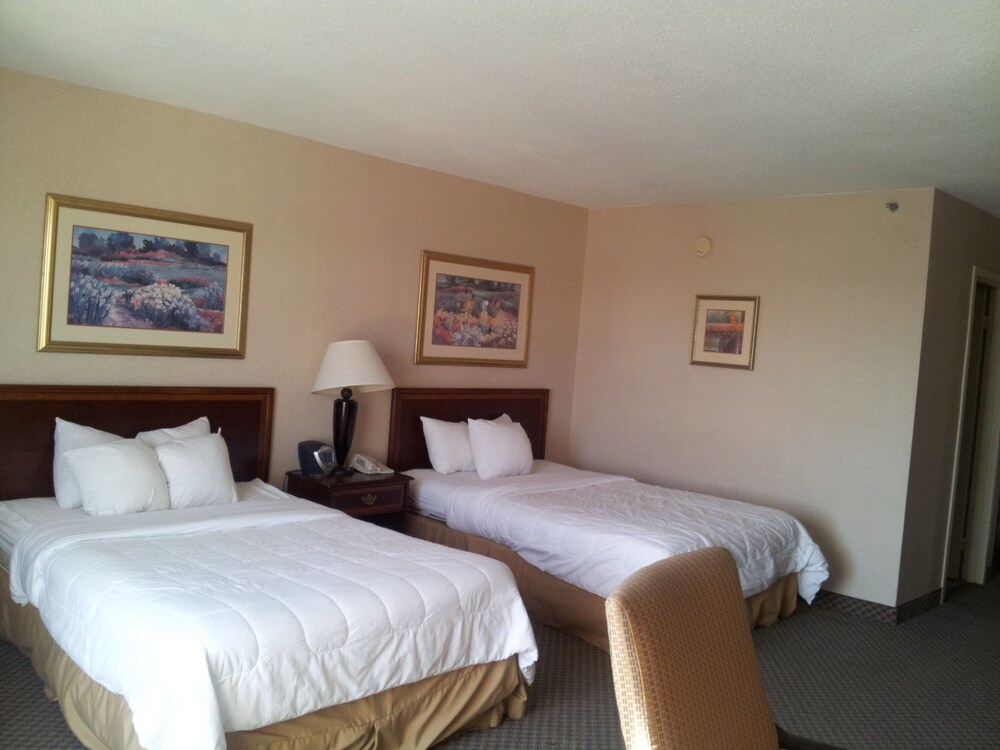 Speco Hotels Richmond - photo 4