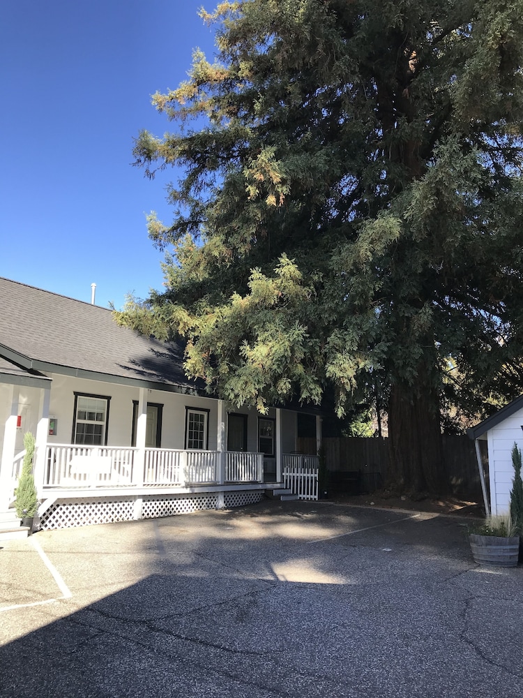 Sierra Mountain Inn - photo 98