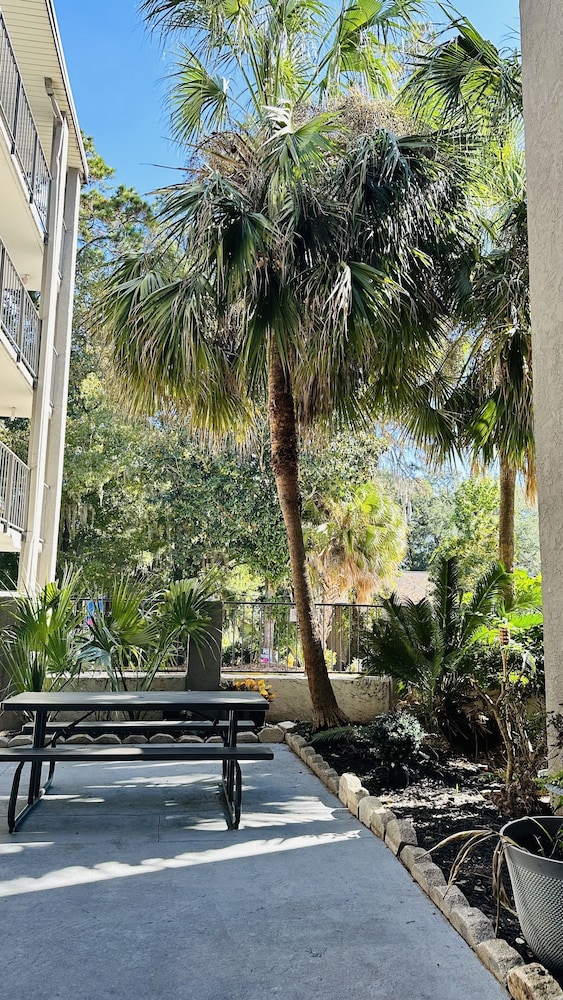 Loyalty Inn Tallahassee - photo 15