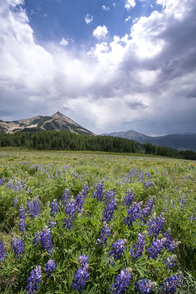 Crested Butte Mountain Resort - photo 130