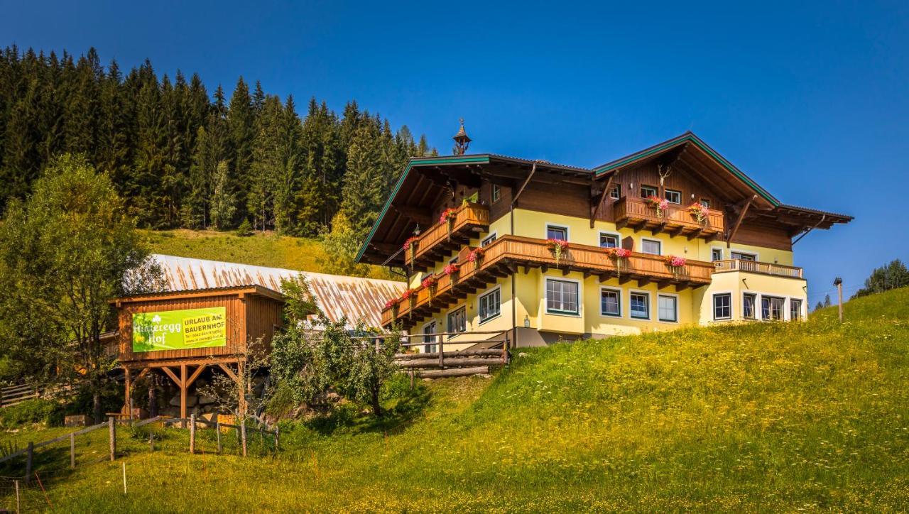 Hinteregghof — hotel in Forstau