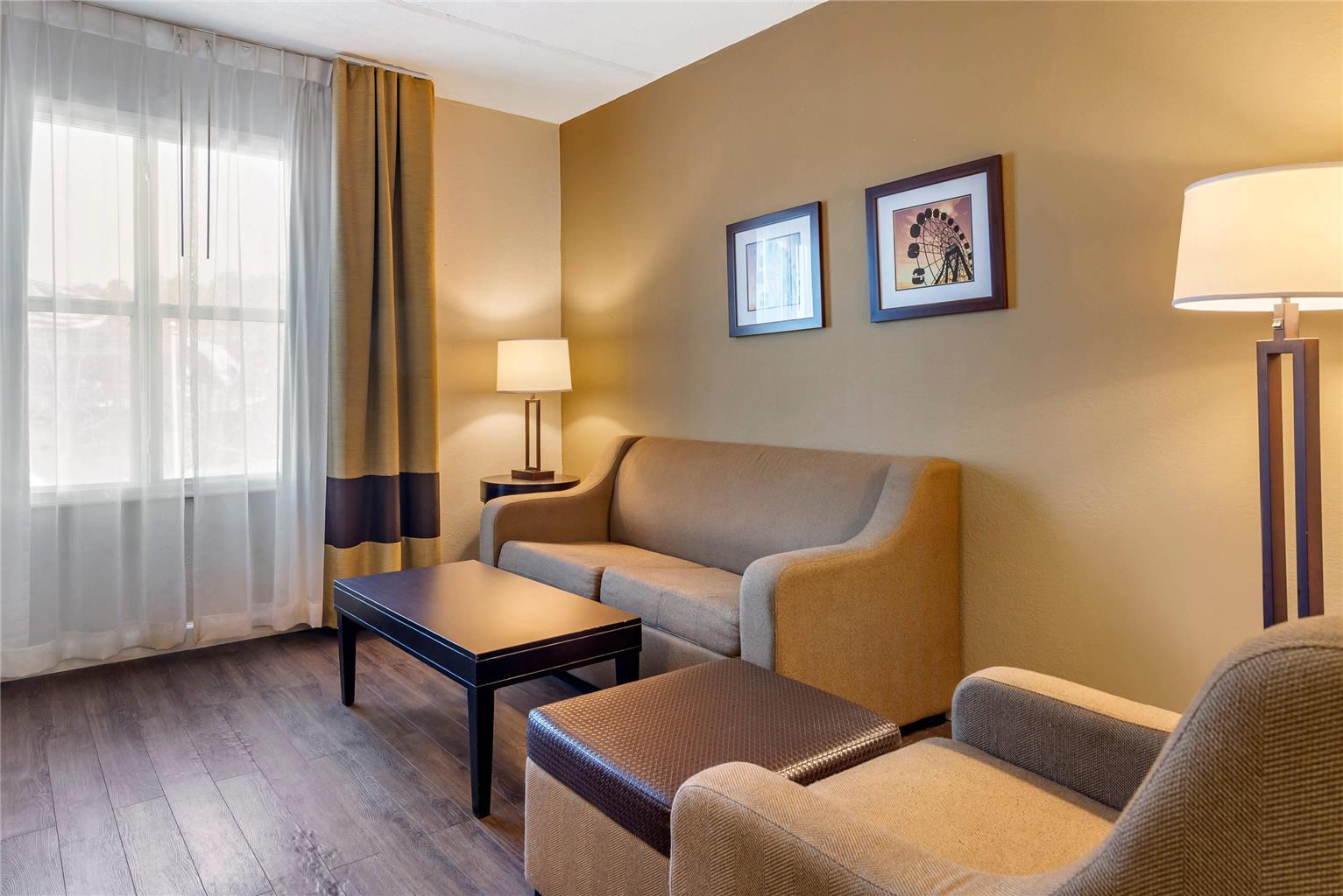 Comfort Inn & Suites near Six Flags - photo 21