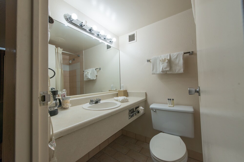 Vacation Inn Phoenix - photo 28