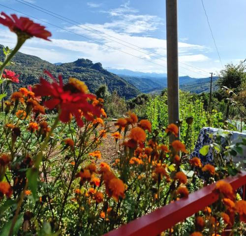 Georgaras Accommodation - carbon neutral hotel in Unknown City