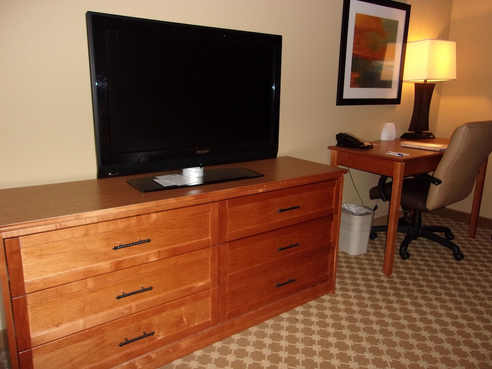 Holiday Inn Express & Suites Chicago West Roselle by IHG - photo 15