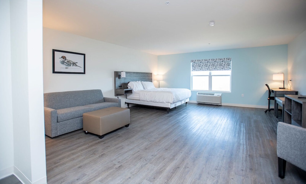The Nest - photo 3