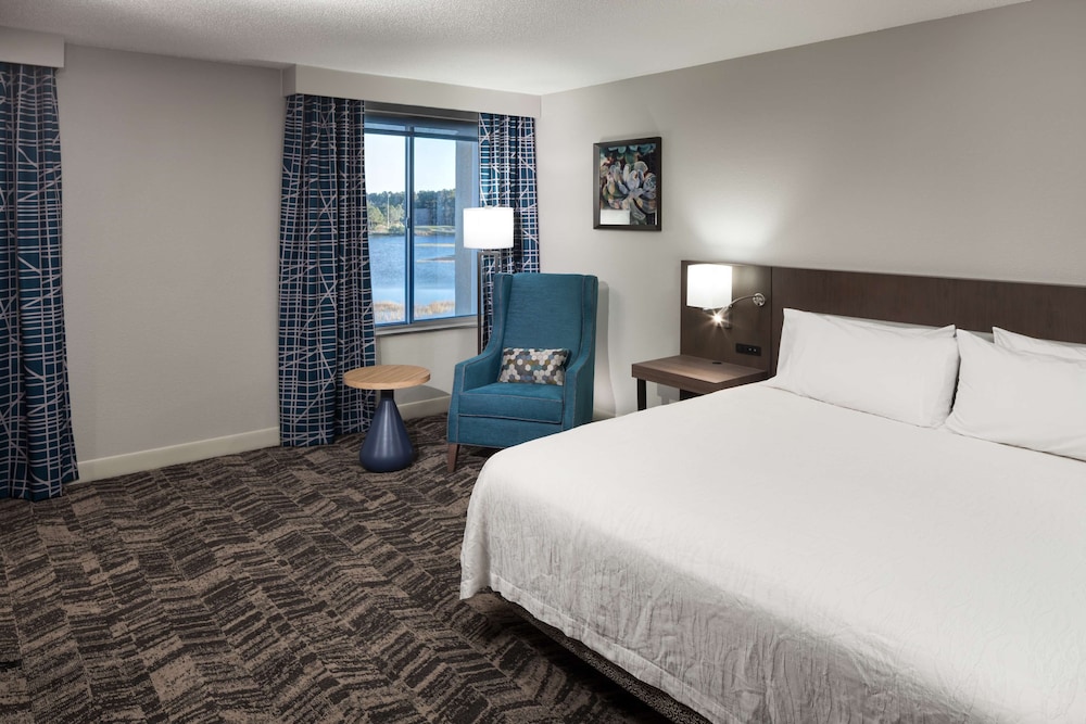 Hilton Garden Inn Savannah Airport - photo 7