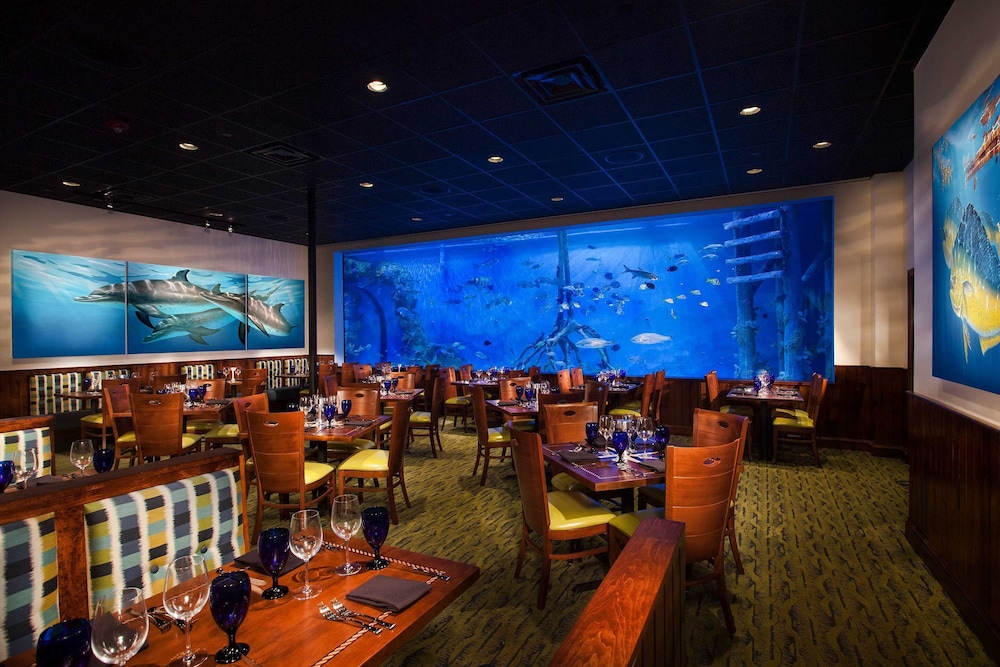 RumFish Beach at TradeWinds - photo 57