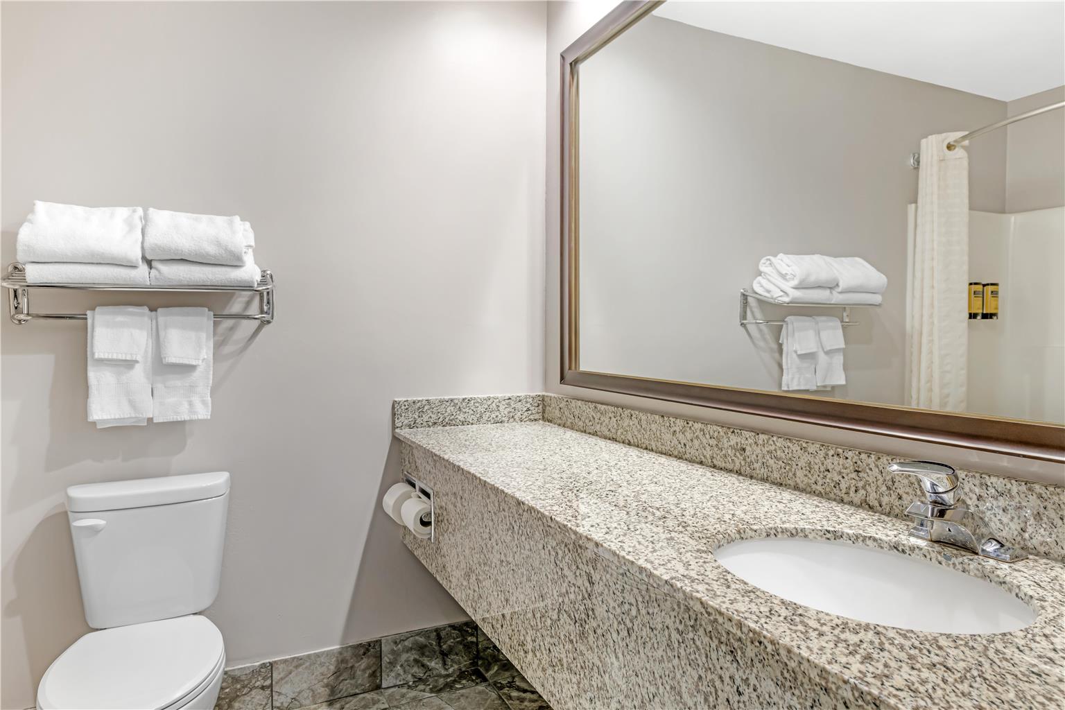 Best Western Plus Eau Claire Conference Center - photo 29