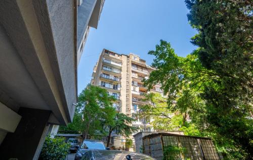 Kiwi Apartment