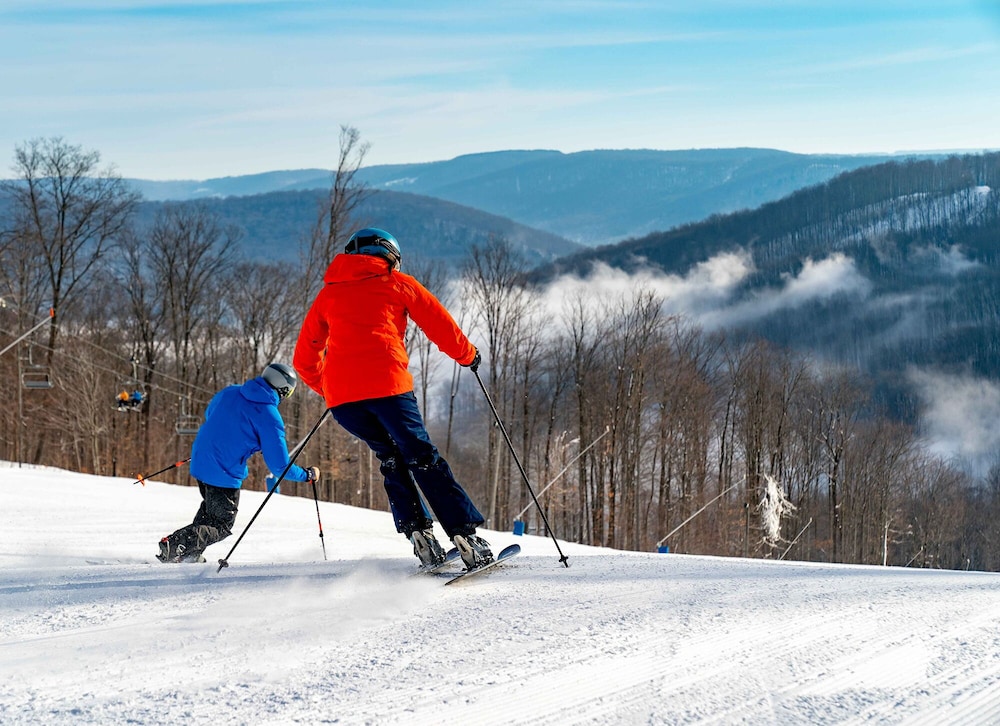 The Inn At Holiday Valley - photo 59