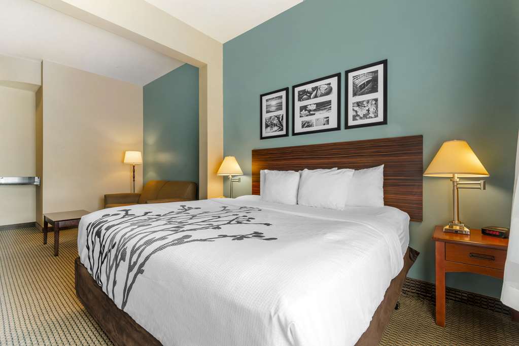 Sleep Inn & Suites Rapid City - photo 20