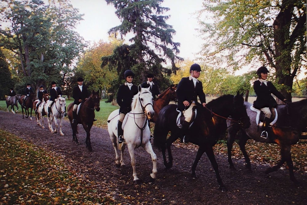 Hampton Inn Geneseo - featured photo