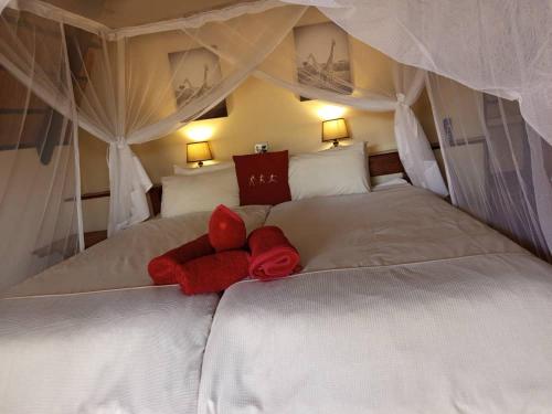 Bitterwasser Lodge — Hoachanas — photo 2