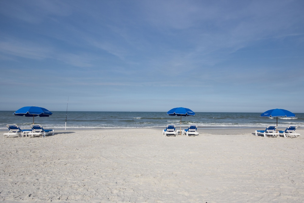Courtyard by Marriott Jacksonville Beach Oceanfront - photo 44