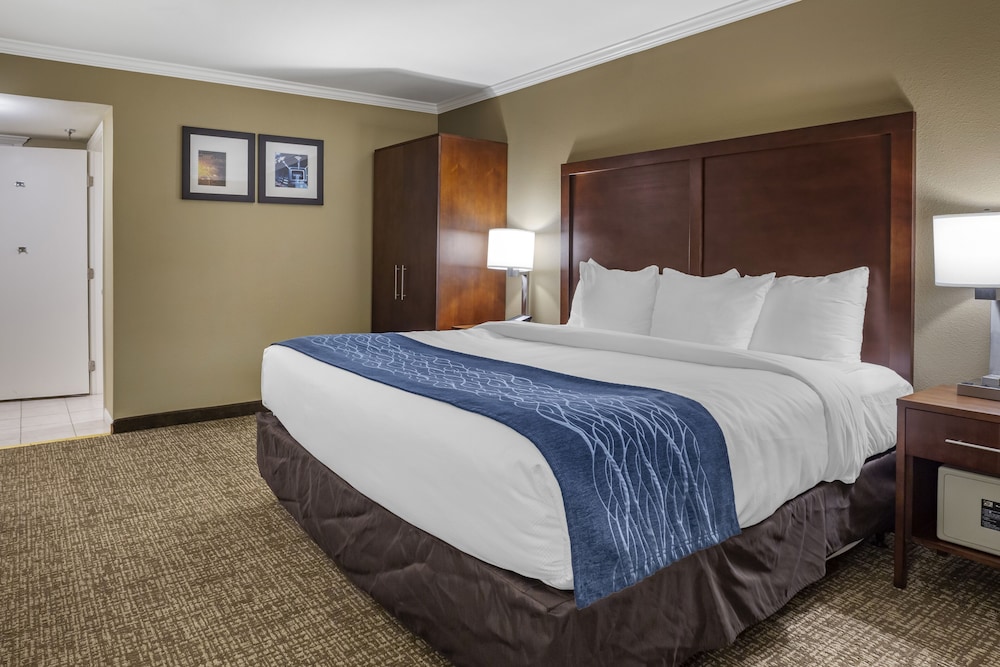 Comfort Inn Sunnyvale Silicon Valley - photo 22